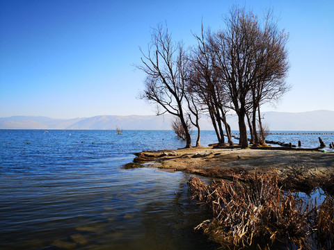 洱海海岸