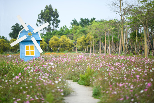 花园里的风车小屋