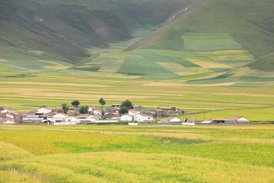 高原村庄