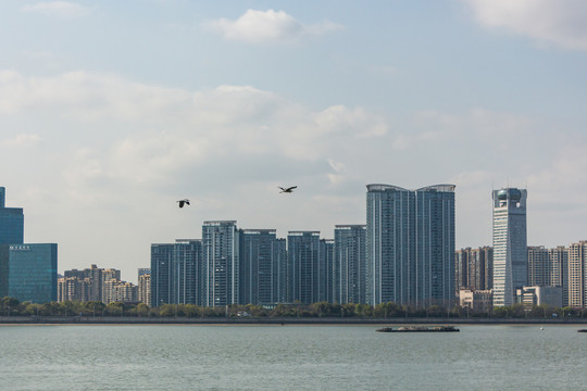 杭州钱塘江城市建筑风景