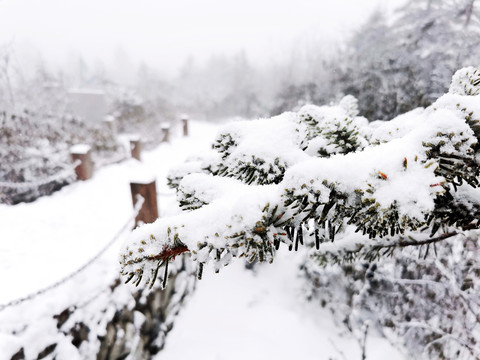 雪景