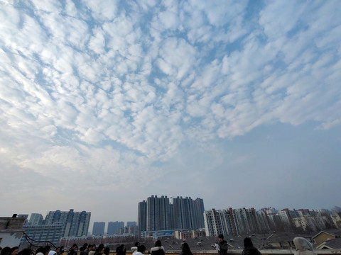 城市里的天空