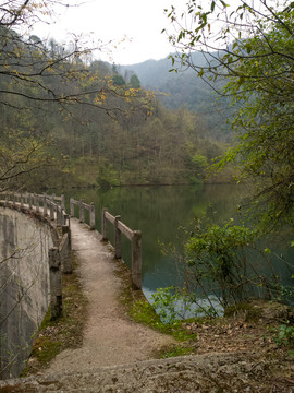 湖泊山峰森林