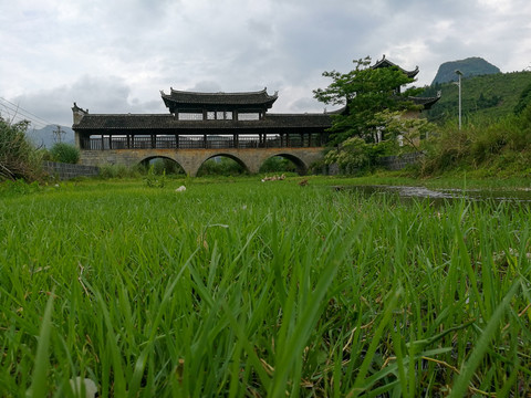 风雨桥草地