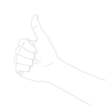 手線描白描圖