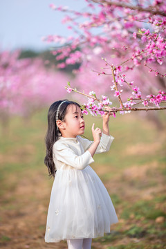 穿白色连衣裙的小女孩在桃花林里