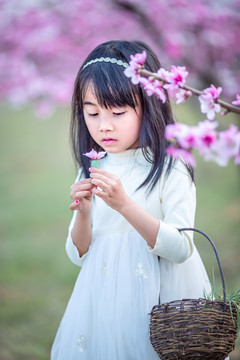 穿白色连衣裙的小女孩在桃花林里