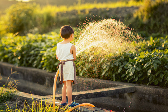 傍晚小男孩在河边给菜园浇水