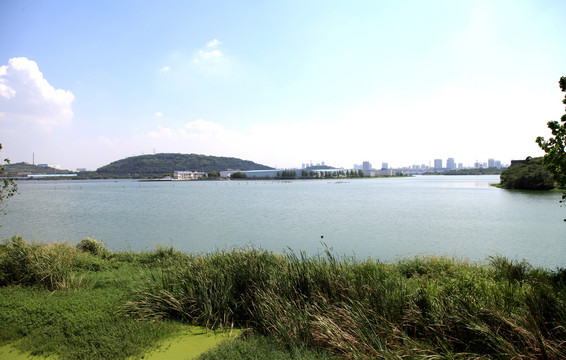武汉龙阳湖