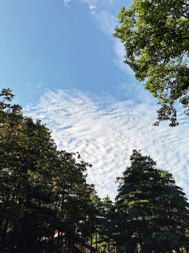 蓝天白云绿水青山