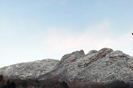 高山雾凇