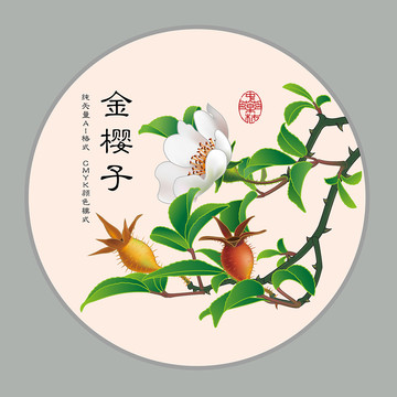 金櫻子
