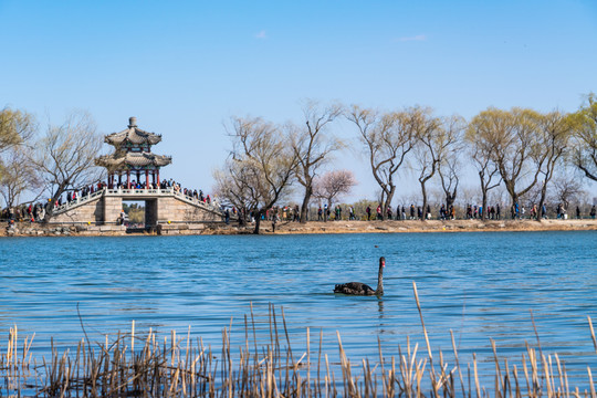 北京颐和园建筑风景