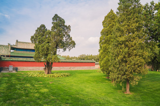 北京天坛公园的古建筑和大片草坪