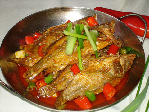 洞庭湖桂魚仔