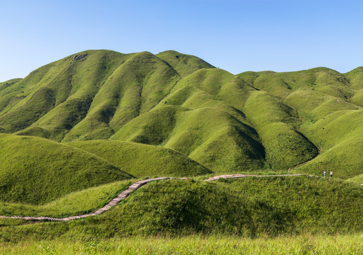 高山草場