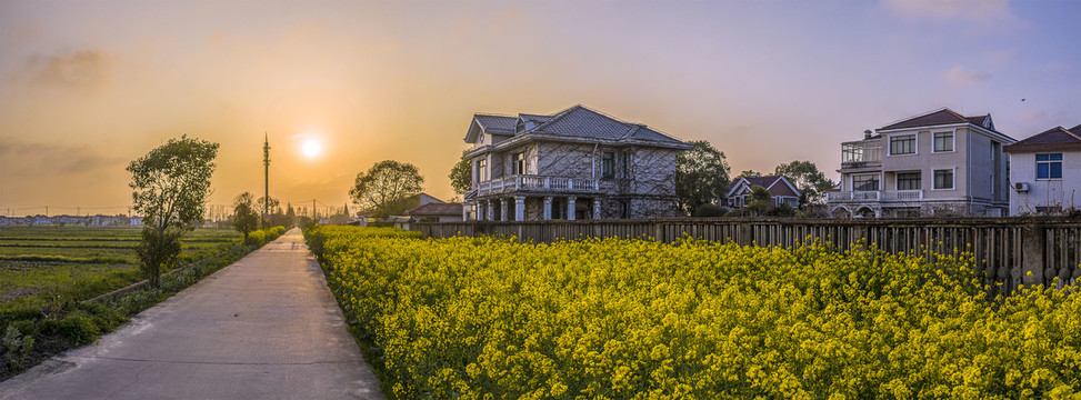 乡村别墅油菜花美景图