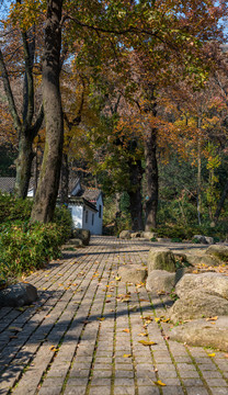 苏州天平山风景区