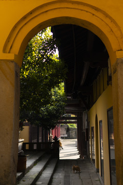 重庆涂山寺