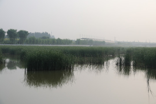 繁峙县滨河公园湿地