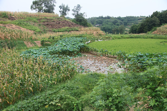 山里民居