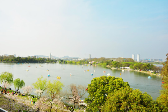 玄武湖春景