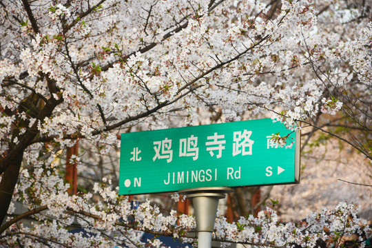 鸡鸣寺路路牌