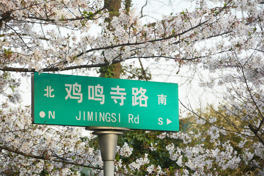 鸡鸣寺路道路路牌