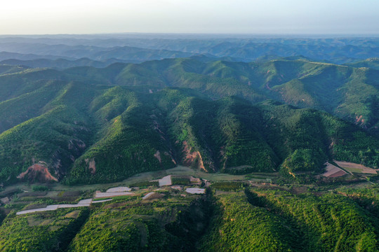 子午岭