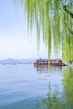 杭州西湖春景西湖垂柳与游船