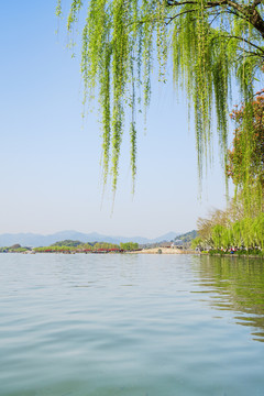 杭州西湖春景断桥垂柳