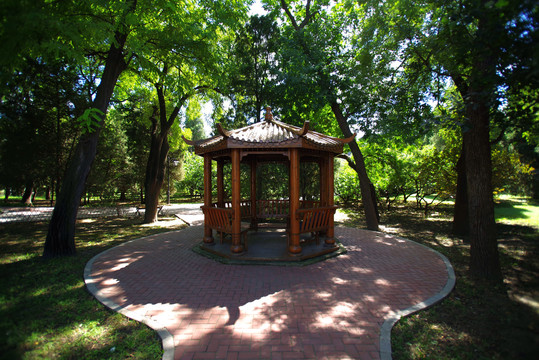 北京南苑公园