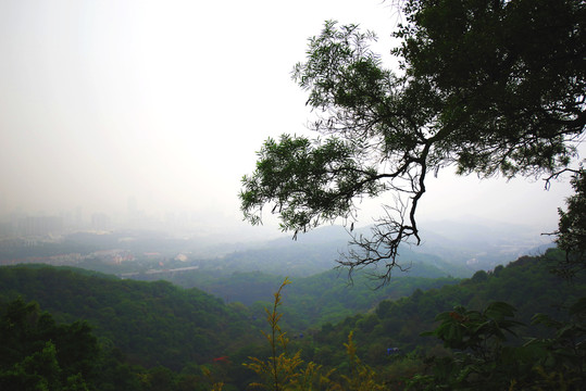 羊城第一秀白云山