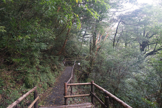 旅游步道