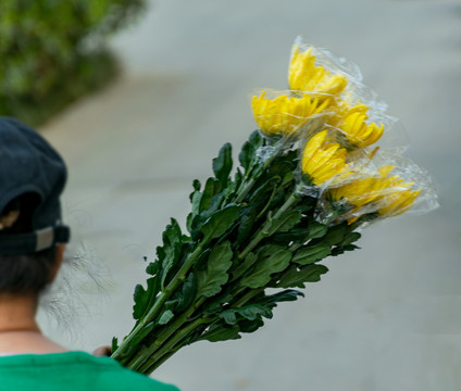 清明节祭奠用的黄白菊花