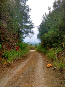 山间土路