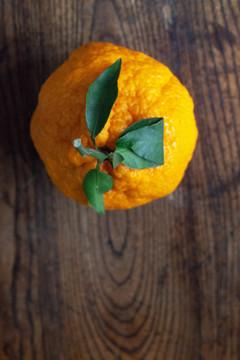 静物水果橘子摄影