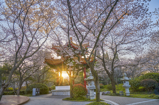 观景亭