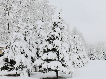 小镇春雪