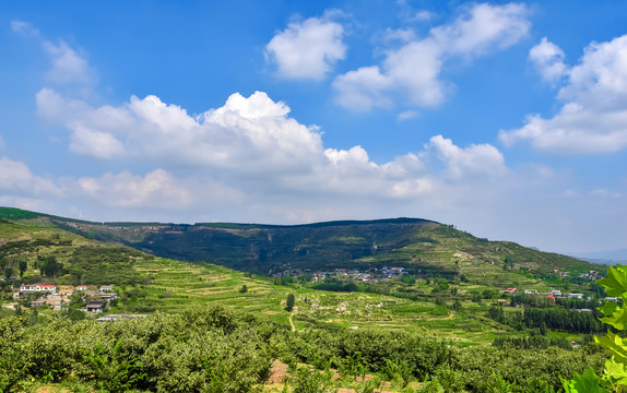 沂蒙山区