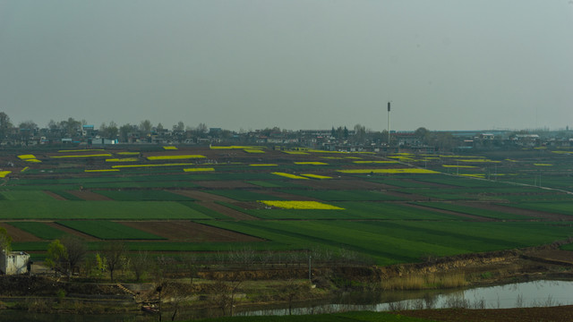 乡村田野