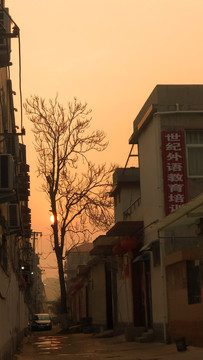 夕阳下的农村街道