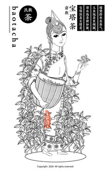 畲族采茶姑娘线稿插画