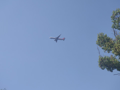 飞机飞过