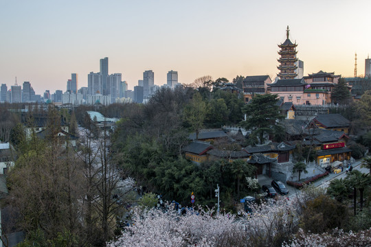 樱花盛开的古鸡鸣寺