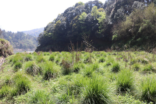 山水风景