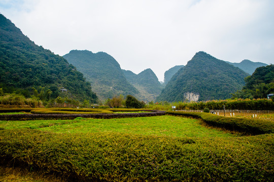 鹅泉风景区