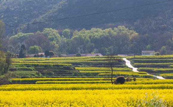 乡村公路