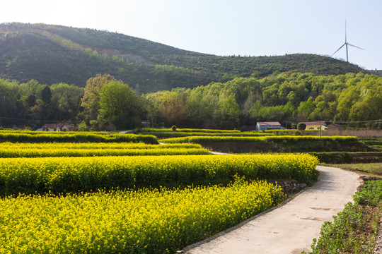 乡村公路