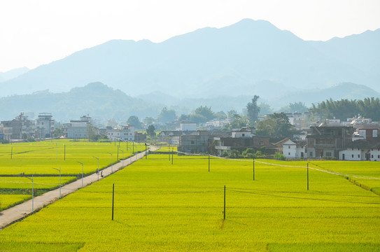 南方农村田园风光